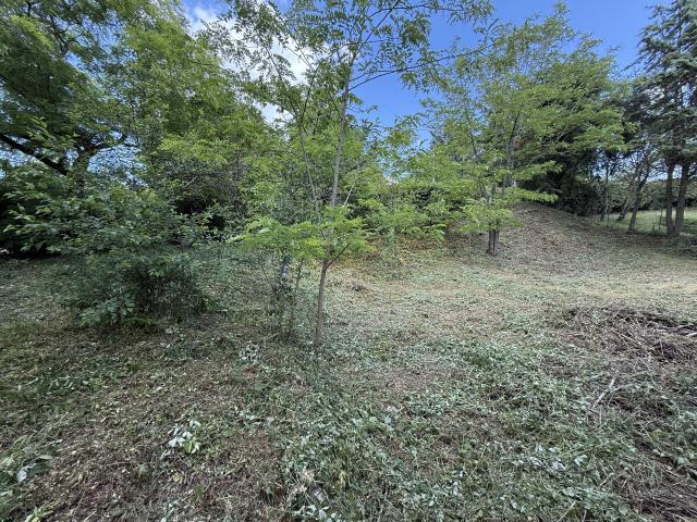 Poulan Pouzols Vente Terrain 81