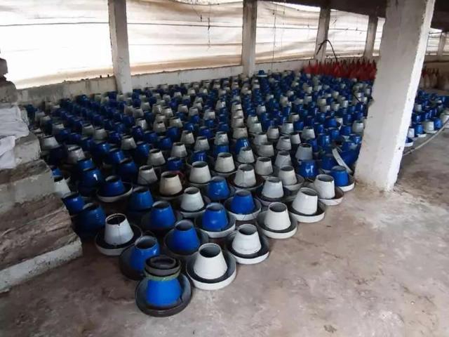 Poultry farm Abbottabad ID 23129