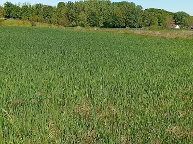 Pourrain 89240 Programme neuf terrain neuf à vendre