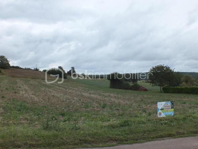 Pourrain Vente Terrain 89