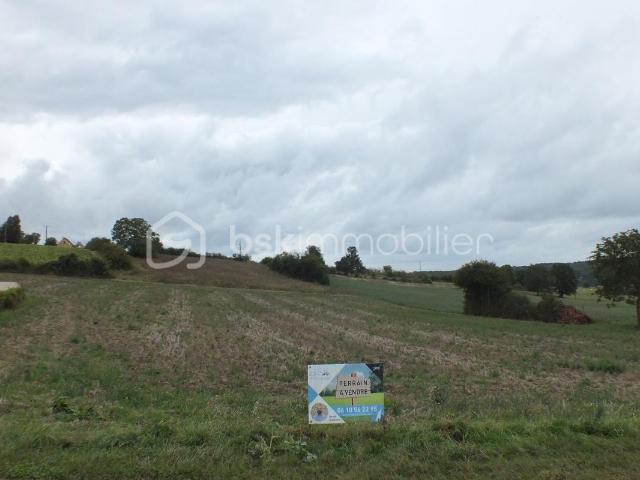 Pourrain Vente Terrain 89