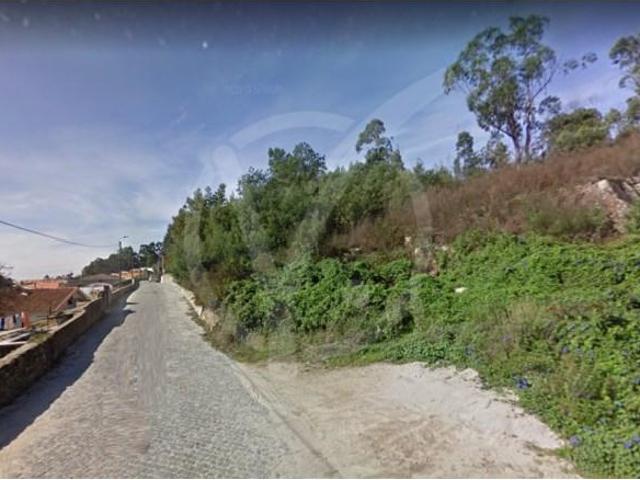 Póvoa de Varzim Póvoa de Varzim 101249033