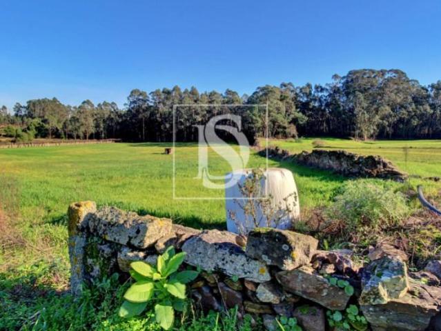 Póvoa de Varzim Póvoa de Varzim 102889454