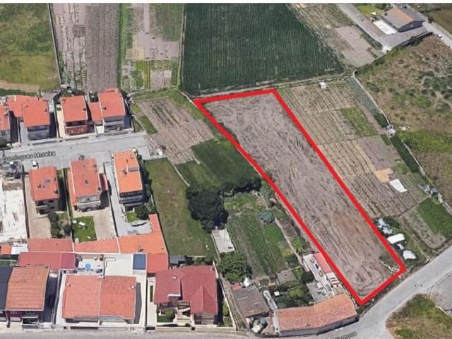 Póvoa de Varzim Póvoa de Varzim 90065738