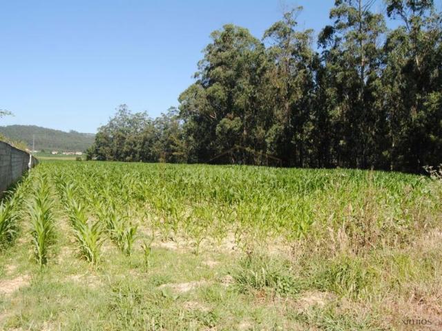 Póvoa de Varzim Porto 94289436