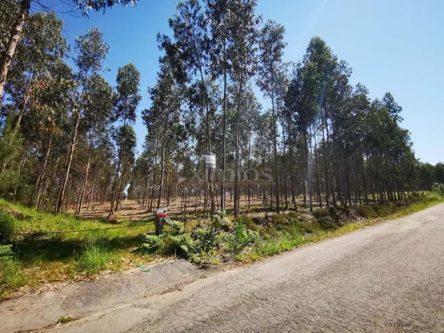 Póvoa de Varzim Porto 94289499