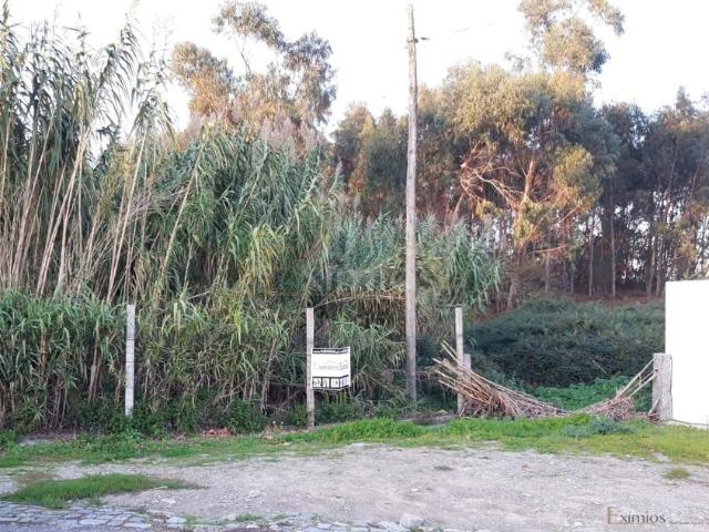 Póvoa de Varzim Porto 94289534