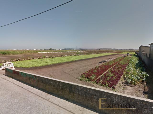 Póvoa de Varzim Porto 99823257