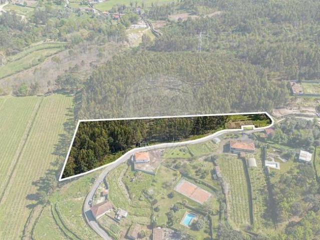 Póvoa de Lanhoso Braga LS99969466