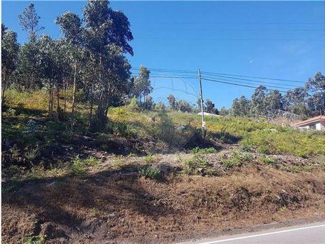 Povoa De Lanhoso Braga 100020341