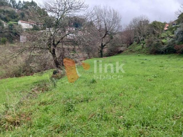 Póvoa de Lanhoso Póvoa de Lanhoso 100496846
