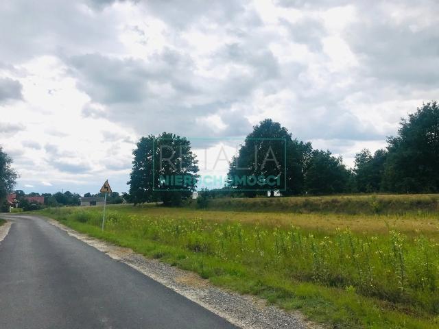 Powązki, 1 950 m2