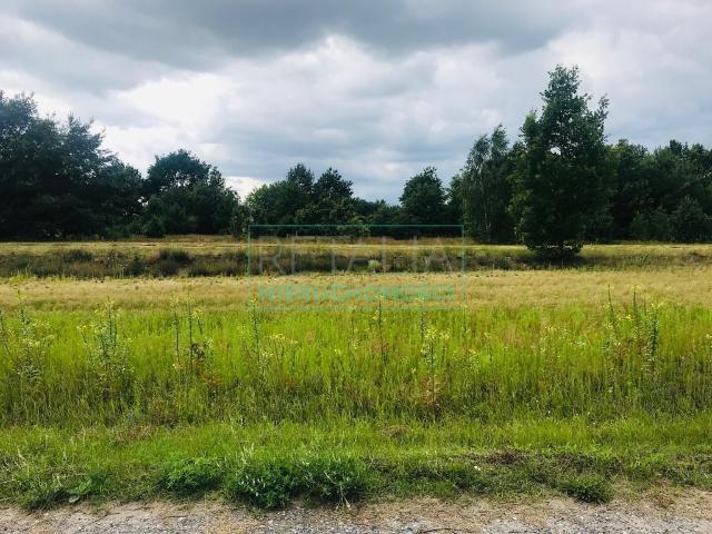 Powązki, 3 900 m2