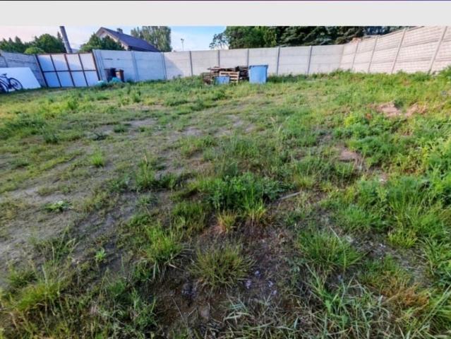 Powstańców Wielkopolskich 1 560 m², Dębno