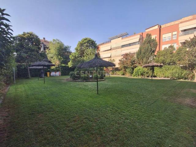 Pozuelo De Alarcón