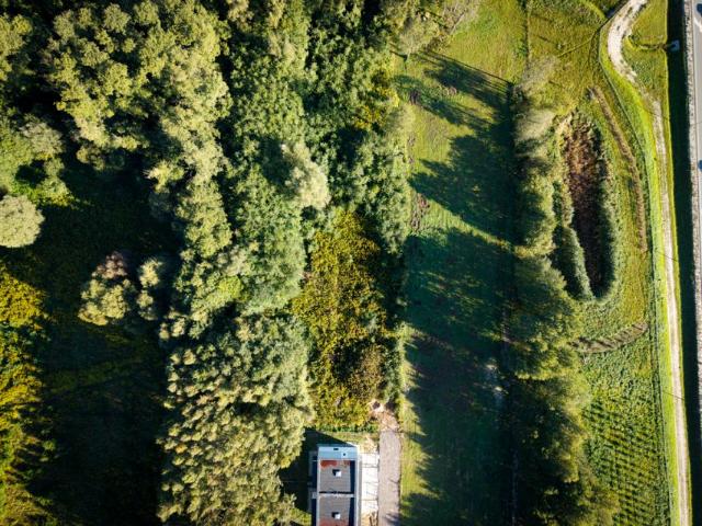 Poziomkowa 3 995 m², Rąbień