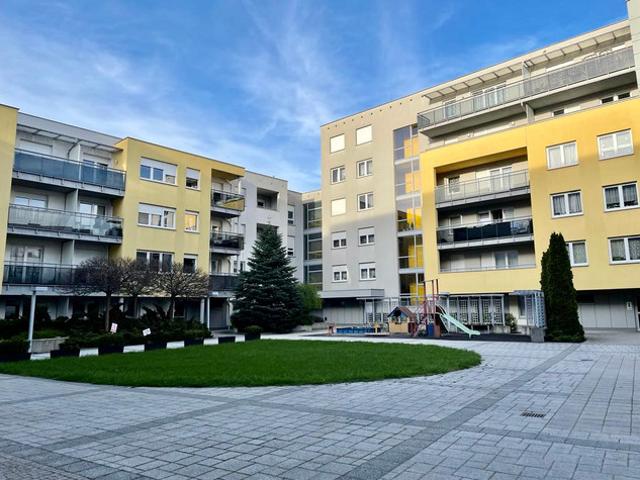 Poznań, brzask