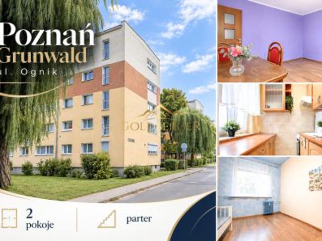 Poznań, Grunwald, ul. Ognik, 38 m² Mieszkanie