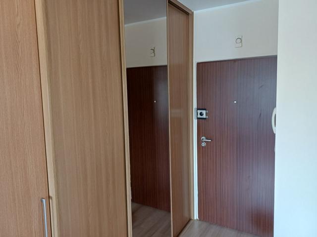 Poznań, Grunwald, Bełchatowska