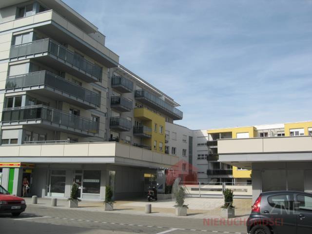 Poznań, Grunwald, Brzask