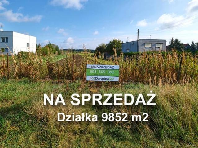 Poznań M. Poznań, Spławie, Szczepankowo