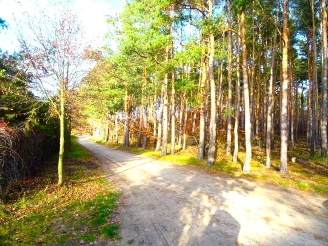 Poznańska 1 990 m², Borówiec