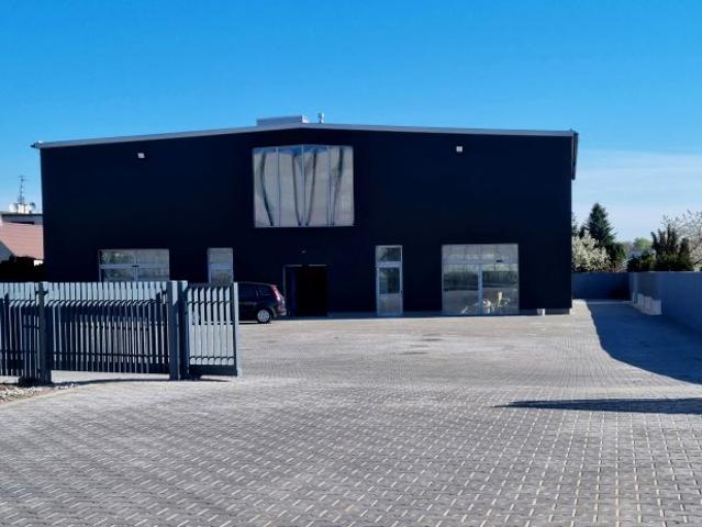 Poznańska 250 m², Gądki