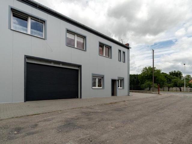 Poznańska 350 m², Pobiedziska