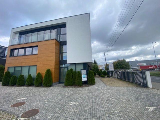 Poznań, Stare Miasto, Winogrady, Trójpole