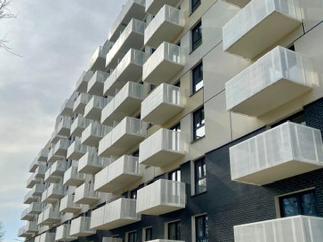 Poznań, Stare Miasto, Winogrady