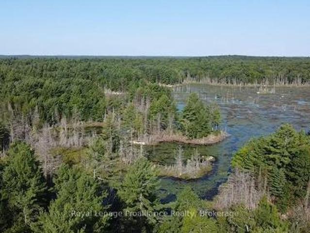 Pl29C10 Kennebec Road, Addington Highlands, ON, K0H 2G0 vacant land for sale | Listing ID X13704 | Royal LePage