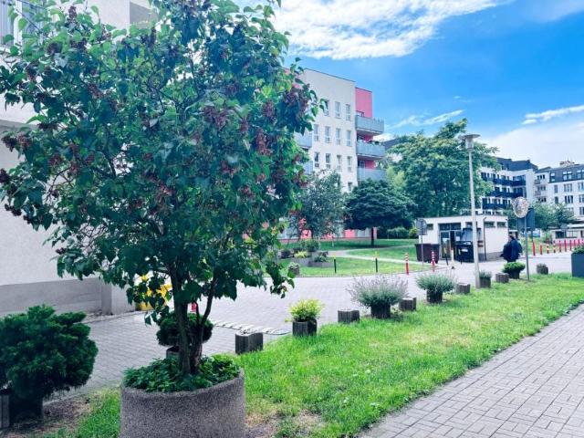 Pl. Tadeusza Kościuszki 42 m², Wrocław