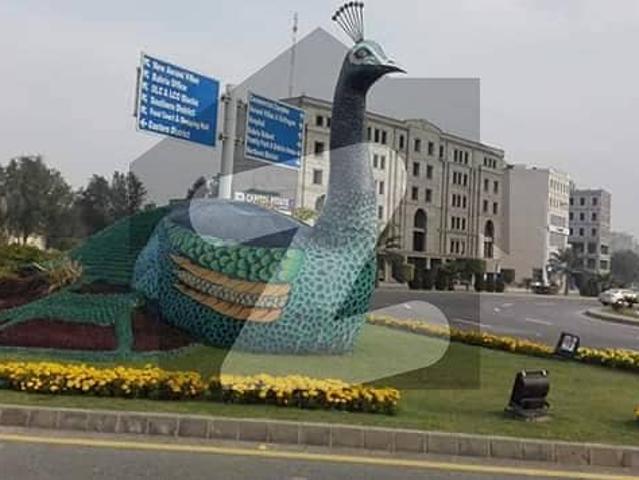 Plot No 553 # Near School Arena Hospital Market And Mosque