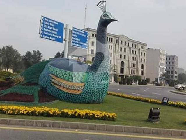 Plot No 553 # Near School Arena Hospital Market And Mosque