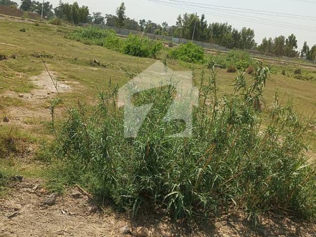 Plot Available For Sale In Royal Homes Azakhel Nowshera