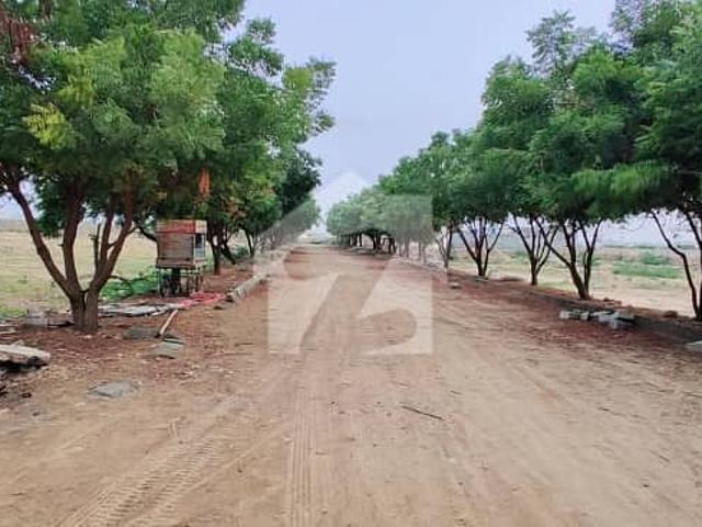 Plot Available For Sale Pia Co Operative Housing Society Sectar 27a 240 Sqyd 40 Feet Road
