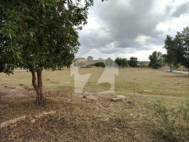 Plot File Available For Sale In DHA Phase 7