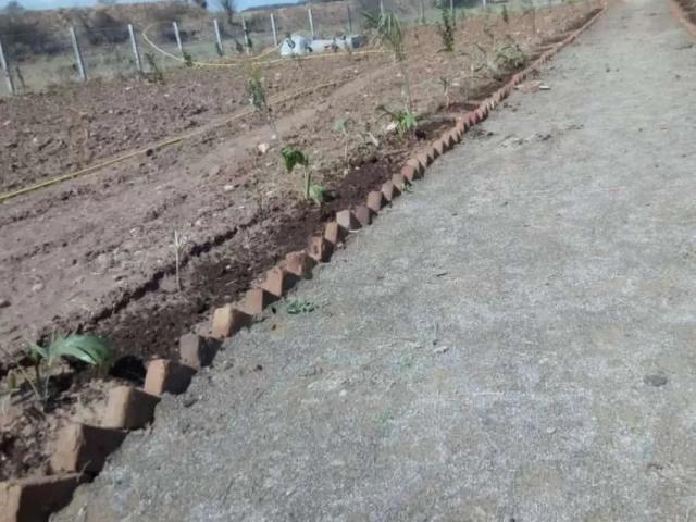 Plot for farm house Rawalpindi Chakri Road ID 12147