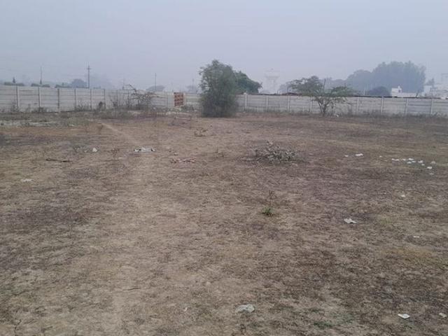 Plot For Sale Near Ramswaroop University 32000 Sq. Ft. Plot in Tindola undefined Listing ID: #9836