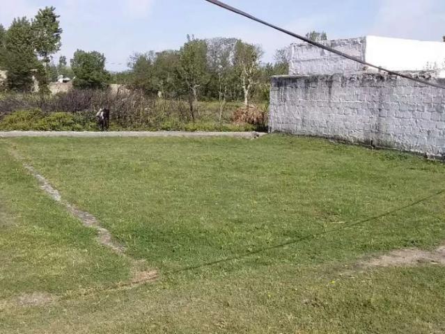 Plot for sale at dheri sikanderpur near umar town Haripur ID 15614