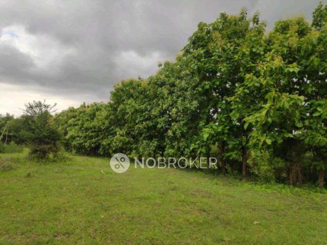Plot For Sale In Muppa Layout In Gopanapalli