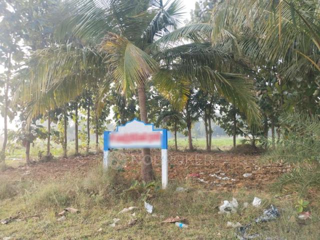 Plot For Sale In Melmaruvathur Adhiparasakthi Mandram Puzhu