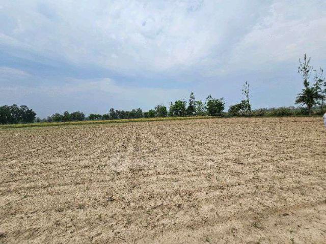 Plot For Sale In Modinagar