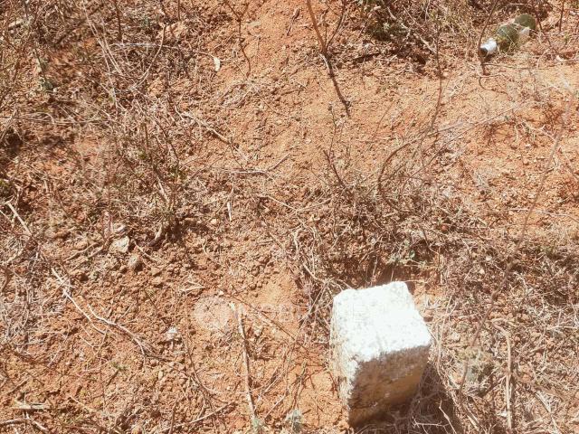 Plot For Sale In Nallagandla