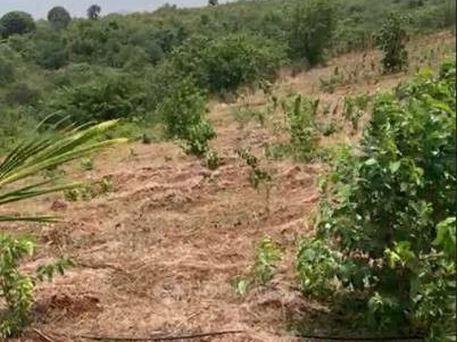 Plot For Sale In Nashik