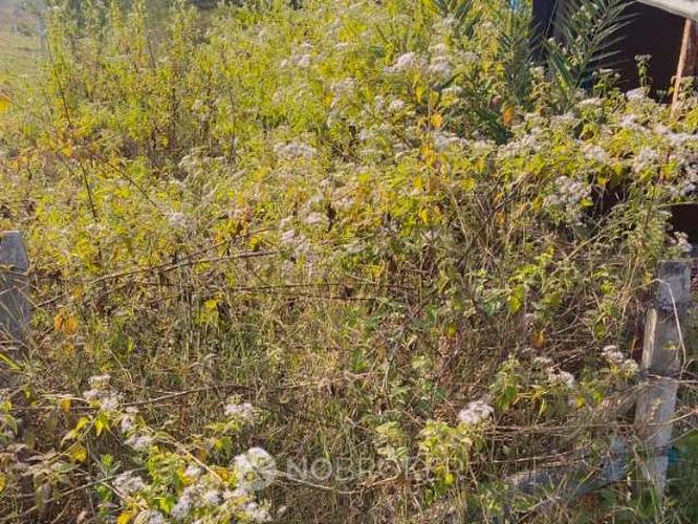 Plot For Sale In Nere