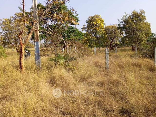 Plot For Sale In Amenity In Devanahalli