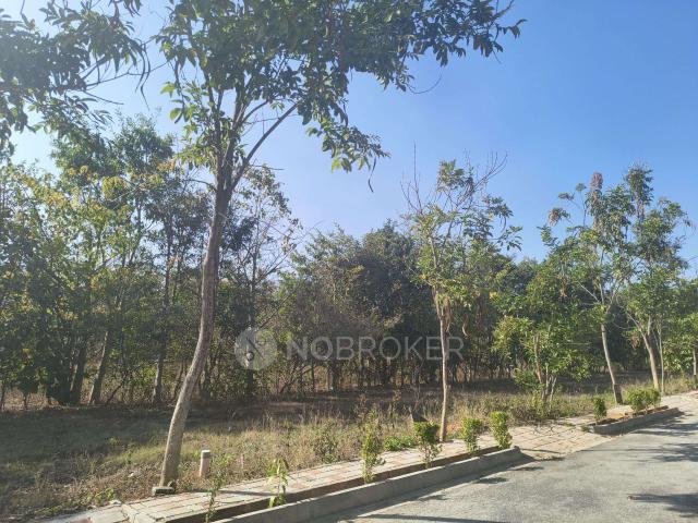 Plot For Sale In Bird Of Paradise In Tharahunise