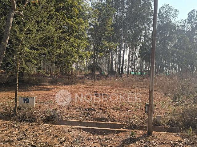 Plot For Sale In Blue Valley North Town In Devanahalli