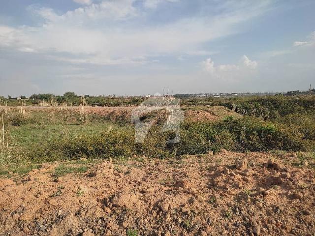 Plot for sale in c 16 size 50*90